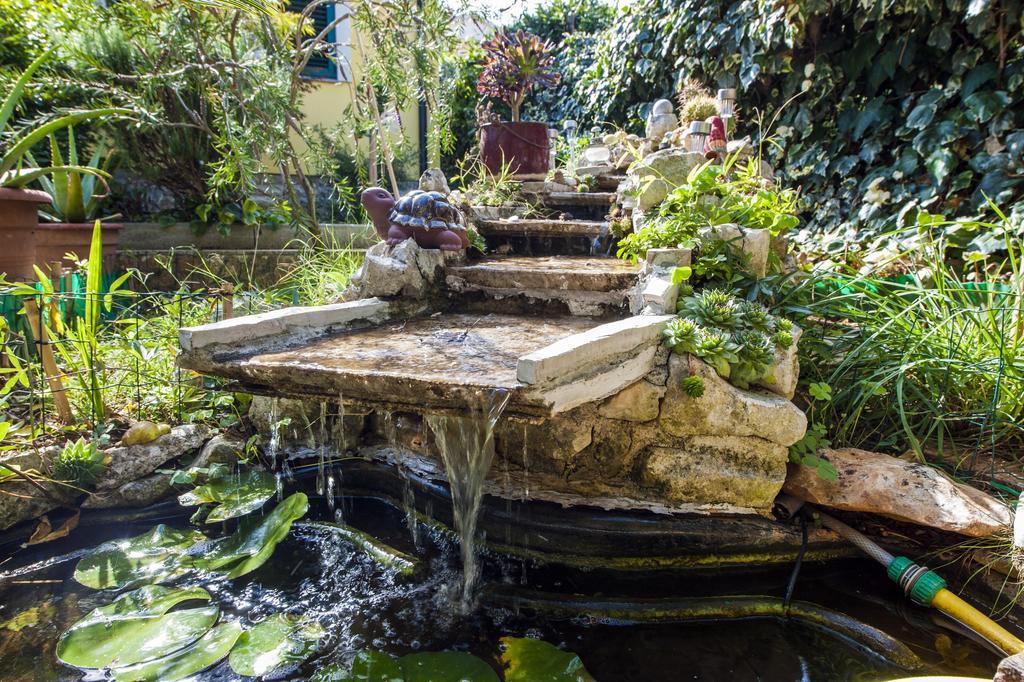 Apartments And Rooms Villa Dea Adults Only 罗维尼 外观 照片